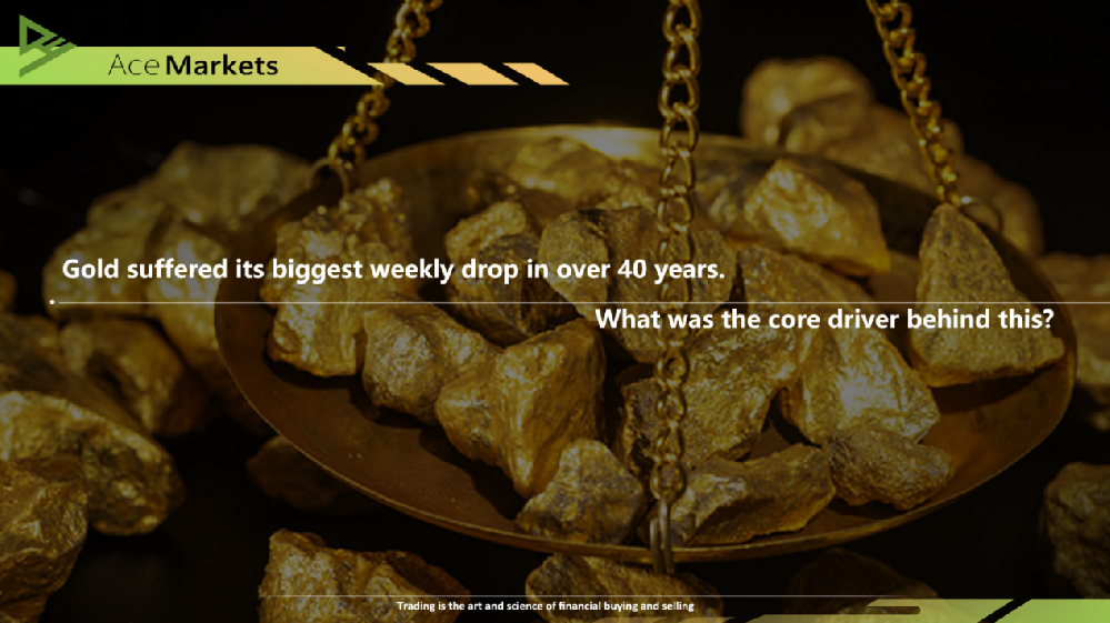 Gold suffered its biggest weekly drop in over 40 years. What was the core driver behind this?