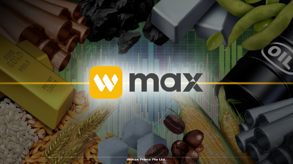 构筑金融防波堤：从“瑞郎黑天鹅”看WMAX的底线思维
